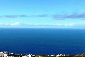 Green Sky - Image 3