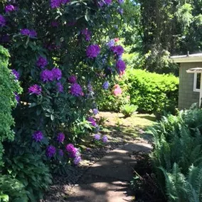 Secret Garden Guesthouse!! - Image 4