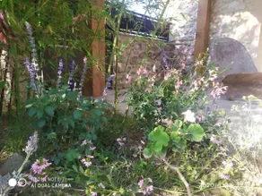 3 rooms 2 bedrooms charming farmhouse 60 m2. 3 people - Image 5