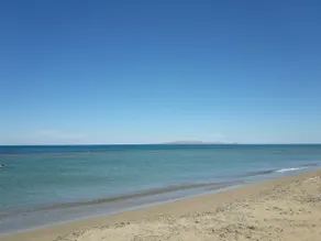 Gorgona 1-BDR Apt - Image 3