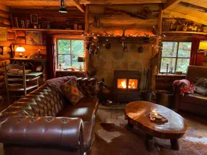 Fenced cabin, wood stove, campfire, dogs welcome - Image 2