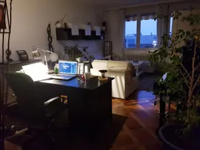 Cozy apartment in Petit-lancy (Geneva) - Image 2