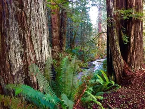 Hot Tub Hide-Away in Freshwater - Image 5