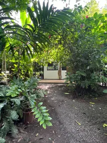 Private Lions Den in Playa Cocles - Image 4