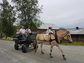Brudevoll Farm - the place for great experiences - Image 5
