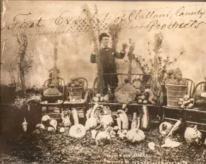 Frontier Inn - Image 5