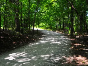 Tree of Life River Retreat - Image 4