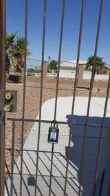 Dandelion Court~Flower of the Desert - Image 2