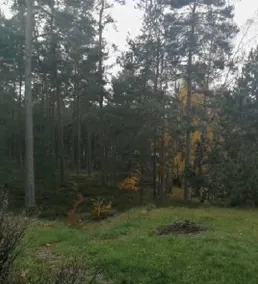 146M2 House, 600 Meters to famous seaside in Åhus - Image 3