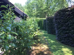 Hilvarenbeek - Image 4