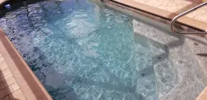 Luxury Private Pool House ! Mackarosa ! Tampa Bay! - Image 4