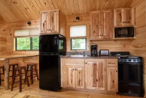 Seneca Lake Creekside Cabin A0 - Image 5