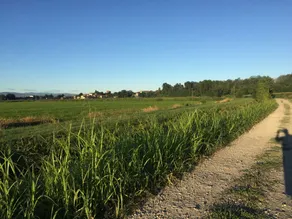 Quiet house in the green of the Po Valley costa de' Nobili pv - Image 5