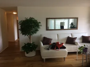 Entire property with beautiful views - Image 3