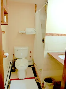 Cozy Garden 2-Bed Full Amenities @ Downtown Albany - Image 4