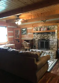 Wolf Cub Cabin with Private Hot Tub! - Image 5