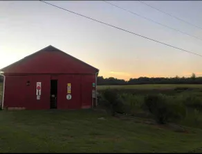 4459-Cozy, relaxing country stay on small farm! - Image 3
