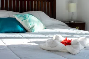 The Oaks Tamarindo Condominium - Image 2