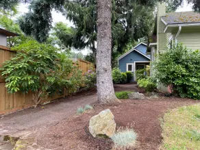 The Backyard Bungalow! Big Living; Small House - Image 3
