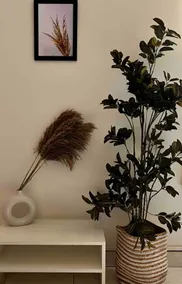 Jironi - Picturesque Boho Chic 1BHK+Centre of city - Image 5