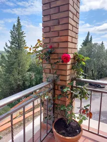 Casa Bruna - Cipresseta del Chianti - Image 2