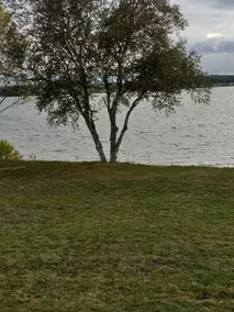 Waltmans Lake House Pelletier Island - Image 4