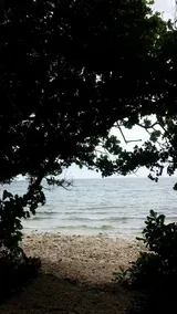 Lila Bitoon Resthouse of Bohol - Image 4