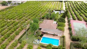 Country house with pool next to Seville - Image 5