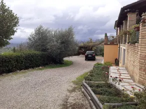Villa among the olive trees 2 - Image 5