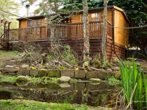 Squirrels Leap - Image 2