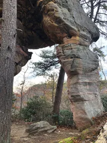 Pet-Friendly Retreat by Rock Wall w- Hot Tub - Image 2