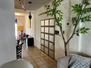 Casa Audi - Image 5