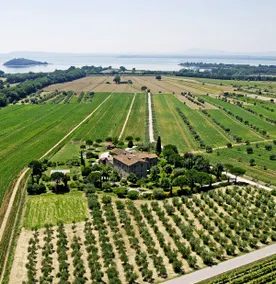 Il Galletto Apartment - Image 4