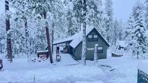 The NuttyBear Cabin with Hot Tub - Image 3