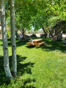 The Lazy Ass Ranch, The Guest House - Image 5