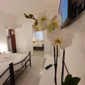 Tolstoj Metro Apartment Milano - Image 4