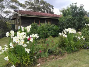 Le Shack - Cosy, peaceful cottage with views - Image 3