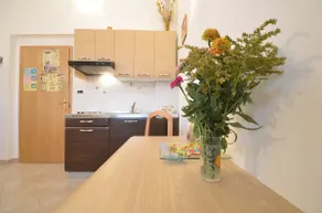 Cozy apartment ”No. 5” in Motovun - Image 5