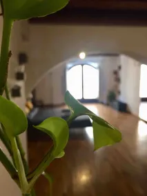 Aurora - Cool Loft - Image 4