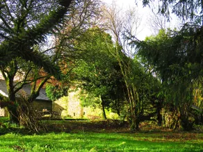 KoumKinvi, House in the Monts d'Arrée, Brittany - Image 5