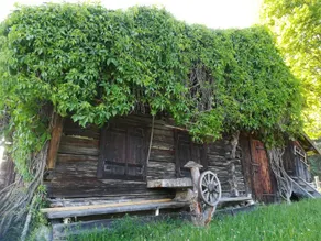 Biobergbauernhof Bergzeit Apartment in Goldegg - Image 4
