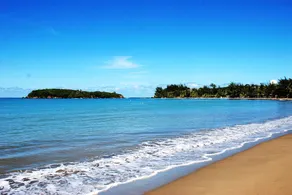 ❤️Close to Beach Apt. w/Free PKG⭐️ - Image 5
