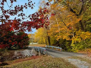 Creekside Cottage Near Nashville- Pet Friendly! - Image 3