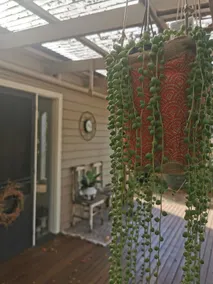 1800’s country cottage | Trentham | pet friendly - Image 4