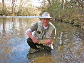 Snowbird Creek Cabin, Flyfish, Tail of the Dragon - Image 5