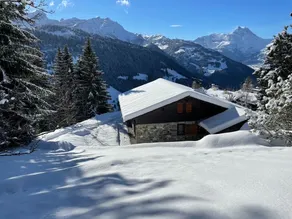 Luxurious Eco-Chalet: Swiss Mountain Escape - Image 3
