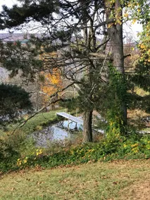 Upstate NY-Private Beautiful House close to Widham - Image 2