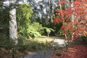 The Shack - Eco Nature Retreat - Image 3
