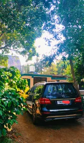 WildBeats StreamStays - Wayanad- Forest Ambience - Image 3