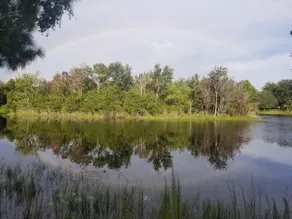 Murphy's Lake House and Retreat!!! - Image 3